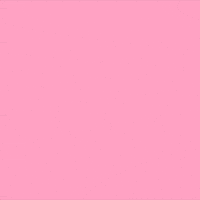 Miss You Flowers GIF by Jessica Lau