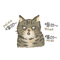 Tabby Cat Sticker