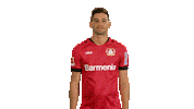 Oh No Wtf Sticker by Bundesliga