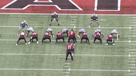 nfalato11 giphyupload GIF