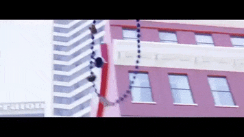 new orleans louisiana GIF