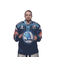 Hockey Applause Sticker by HC Škoda Plzeň