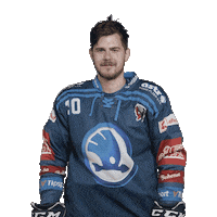 Hockey Applause Sticker by HC Škoda Plzeň