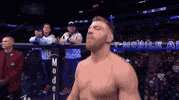 Sport GIF by UFC