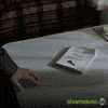 Episode 12 Showtime GIF by Shameless