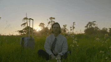 Road Trip Reaction GIF by Bay Ledges