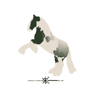 RenRun25 horse cheval cabre nealtan Sticker