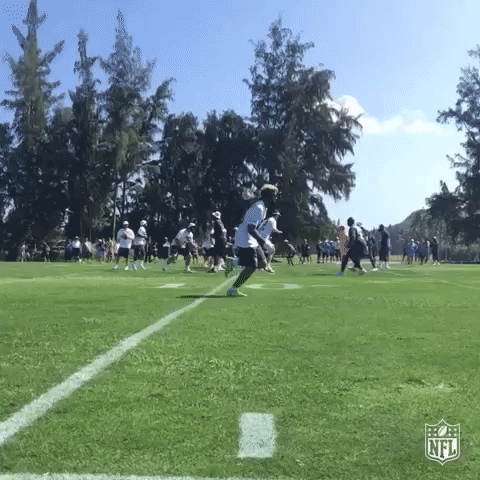 GIF by NFL