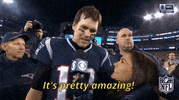 New England Patriots Football GIF by NFL