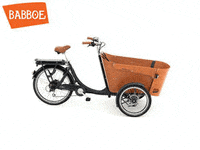 babboe_cargobike transporter cargobike carve bakfiets GIF