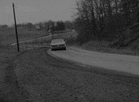 Toronto International Film Festival GIF by TIFF