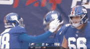 Regular Season Football GIF by NFL