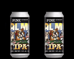 pinestreetbrewery cheers ipa pine street brewery pinestreetbrewery GIF