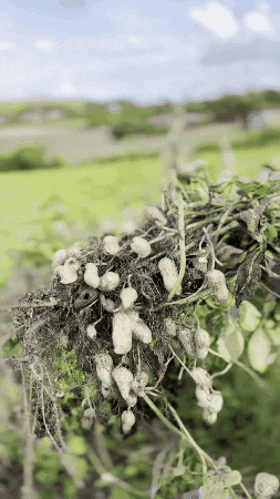 WeLikeTravel giphygifmaker GIF