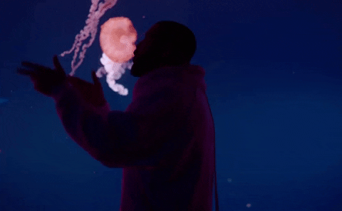 Whats Next Drake GIF by Republic Records