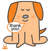 Cat Reaction Sticker by Best Friends Animal Society