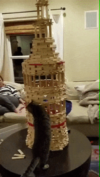 madmoizelledotcom  GIF
