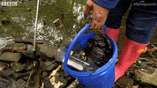 british uk GIF by BBC Earth