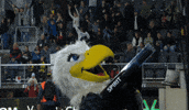 Womens Soccer Mascot GIF by National Women's Soccer League