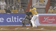 Excited Home Run GIF by Jomboy Media