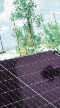 Background Solar Panel GIF by Option One Solar