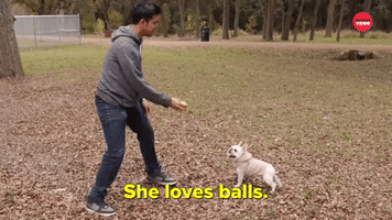 She Loves Balls