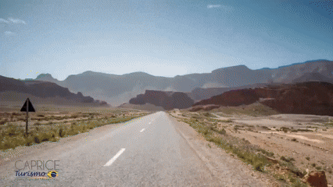 gisasantanna giphyupload GIF