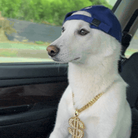 Drive Eminem GIF