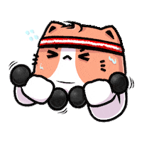 budjifriends sport cats workout toto Sticker