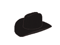 carsonplummer cowboy cowgirl cowboy hat cowgirl hat Sticker