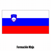 Flag Pixel Art GIF by Formación Ninja