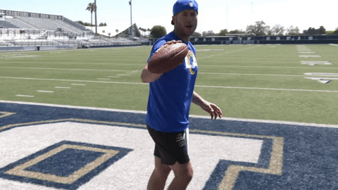 Thursday Night Football Sport GIF by NFL On Prime Video