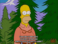 homer simpson episode 13 GIF