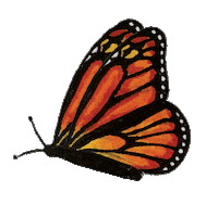 Butterfly Growth Sticker by By Sauts // Alex Sautter