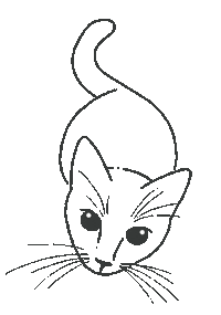 Cat Kitty Sticker