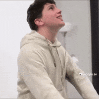 William Will GIF