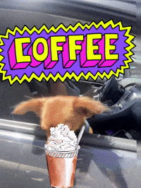 Need Coffee GIF by Breathing Room