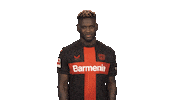Come Here Bayer Leverkusen Sticker by Bundesliga
