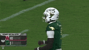 Usf Football GIF by SoFloBulls