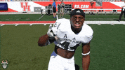 Celebration Usf GIF by SoFloBulls