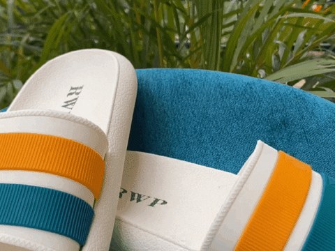 cesarsacris giphyupload GIF