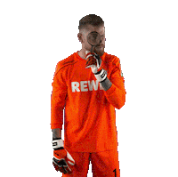 1 Fc Cologne Bundesliga Sticker by 1. FC Köln