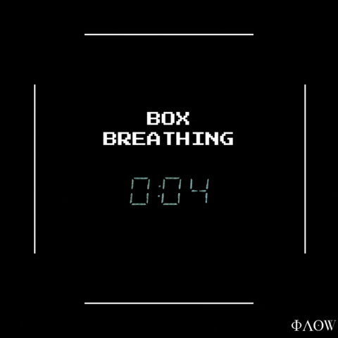 Grow Special Forces GIF by George Longovitis