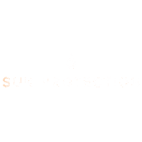 Skin Care Sun Sticker by SWOX
