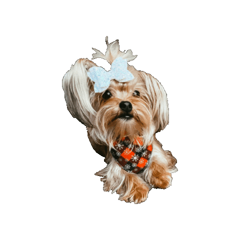 Winter Dog Sticker by Geekster Pets
