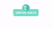 CentroEstudiantesICUSACH ceic ceic2021 comunicacionesceic2021 GIF
