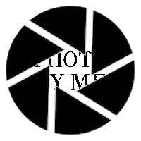 Design Studio Photography Sticker by Angie & Co