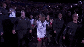 Mixed Martial Arts Sport GIF by UFC