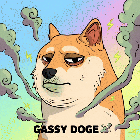 Tired Shiba Inu GIF by Doge Pound