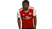 london football Sticker by Arsenal